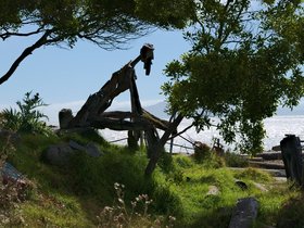 22-1627-oakland-CA-art-albany_bulb.jpg