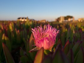 23-2018-monterey-CA.jpg