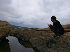 24-1308-monterey-CA.jpg