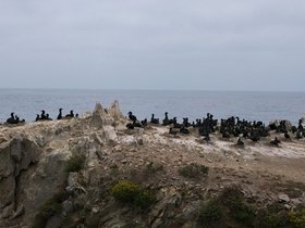 24-1411-monterey-CA.jpg