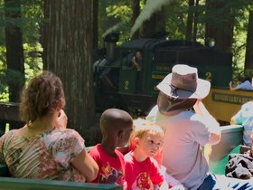 25-1302-train-santa_cruz-CA-redwood.jpg