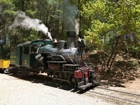 25-1354-train-santa_cruz-CA-redwood.jpg