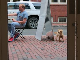 18-1317-dog-clover-casper-street.jpg