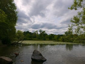 25-1611-dog-fresh_pond-MA-casper_1.jpg