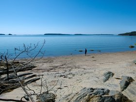 06-1131-wolfes_neck-park-ME.jpg