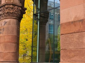 25-1340-leaf-autumn.jpg
