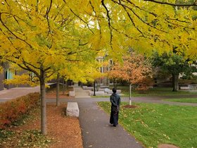 25-1413-leaf-autumn.jpg