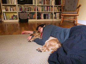25-1457-casper-sleeping-nora-dog.jpg