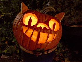 31-1955-halloween-pumpkin.jpg