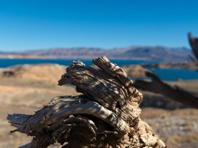 22-1259-lake_mead-NV.jpg