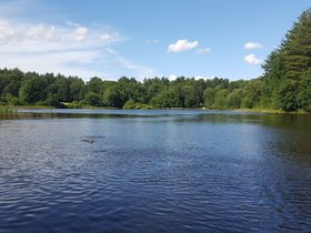 ../2017/06/24-1632-park.jpg