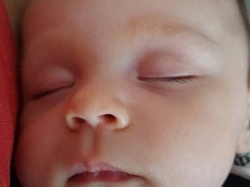 02-2217-dominic.jpg