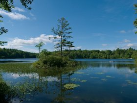 ../2017/07/28-0913-mount_william_pond-NH.jpg