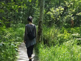 ../2017/07/29-1159-pulpit_rock-nora-park-NH.jpg