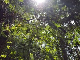 ../2017/07/29-1208-pulpit_rock-park-NH.jpg