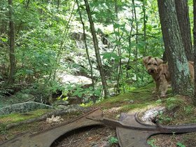 ../2017/07/29-1225-pulpit_rock-dog-park-NH-casper.jpg