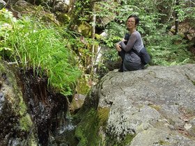 ../2017/07/29-1239-pulpit_rock-nora-park-NH.jpg
