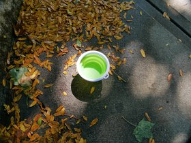 ../2017/10/01-1219-leaf-street.jpg