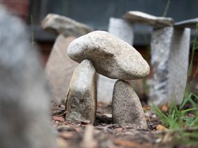 06-1150-rocks.jpg