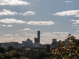 ../2017/10/12-0923-leaf-autumn-boston-MA.jpg