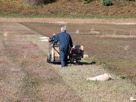 21-1303-cranberry-farm_1.jpg