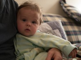 28-1834-dominic.jpg