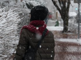 ../2017/12/09-1425-snow-nora.jpg