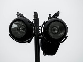 ../2018/05/13-1133-lamp-bw-bird.jpg