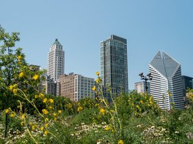 ../2018/08/11-1321-park-chicago-IL.jpg