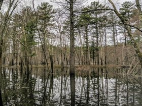../2019/04/21-1130-hodges_village_dam-MA-woods-worcester.jpg