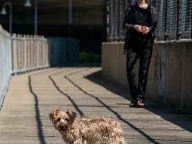 ../2019/05/27-1403-casper-nora-dog.jpg
