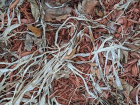 21-0724-texture.jpg