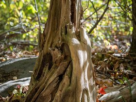 ../2020/10/11-1227-park-lone_tree_hill-MA.jpg