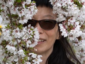 ../2021/04/18-1409-nora-flower-tree.jpg
