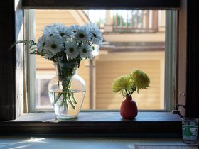 ../2021/05/17-0738-flower-window.jpg