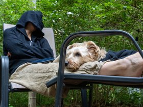 ../2021/07/26-1732-CT-casper-nora-dog.jpg