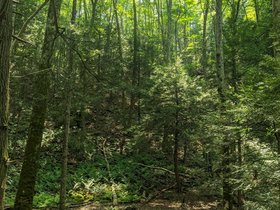 27-1427-saugatuck_falls-CT.jpg