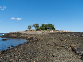 ../2021/09/04-1510-marblehead-MA-island.jpg