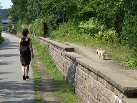 12-1329-nora-casper-walking.mp4