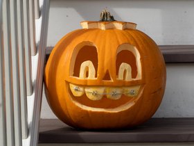 17-1219-pumpkin.jpg