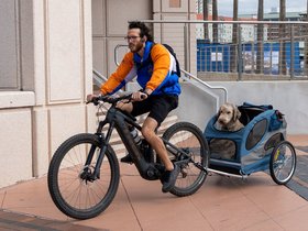 12-1520-dog-bike-tampa-FL.jpg