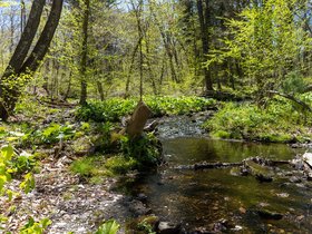 10-1325-garden-stream.jpg