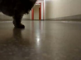 21-1222-bella-chase.mp4