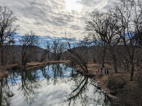 27-1100-river-baltimore-MD-woods.jpg