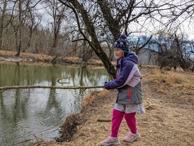 27-1102-baltimore-MD-woods-cecilia.jpg
