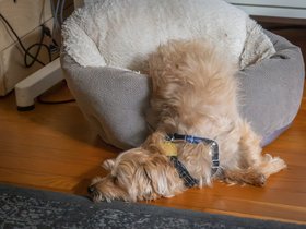 ../2023/06/19-0807-nixie.jpg