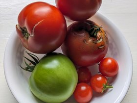 ../2023/09/28-1039-tomato-garden-vegetables.jpg