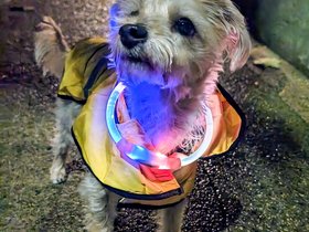 ../2023/10/16-1916-light-nixie-night.jpg