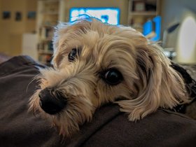../2023/10/20-2119-nixie.jpg