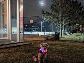 ../2024/01/25-1840-nixie-night.jpg